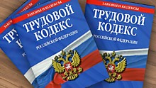 "Трудовое законодательство 2025"